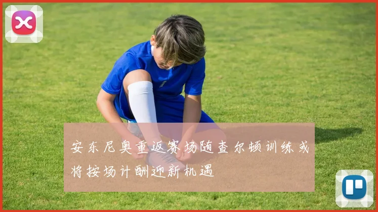 安东尼奥重返赛场随查尔顿训练或将按场计酬迎新机遇