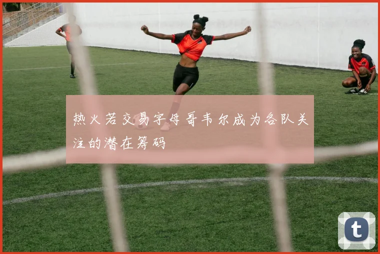 热火若交易字母哥韦尔成为各队关注的潜在筹码